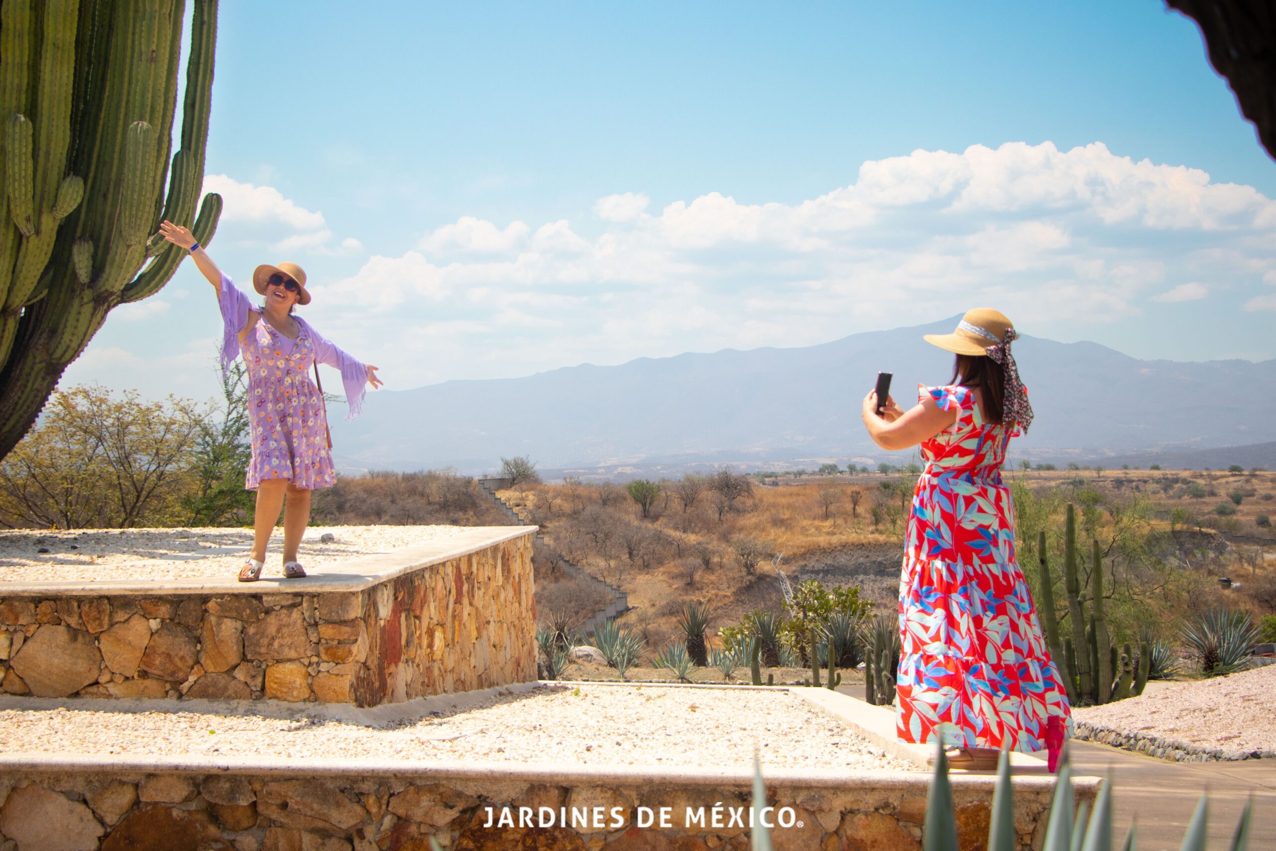 JARDINES DE MÉXICO: 10 AÑOS DE CREAR RECUERDOS NATURALMENTE  INOLVIDABLES