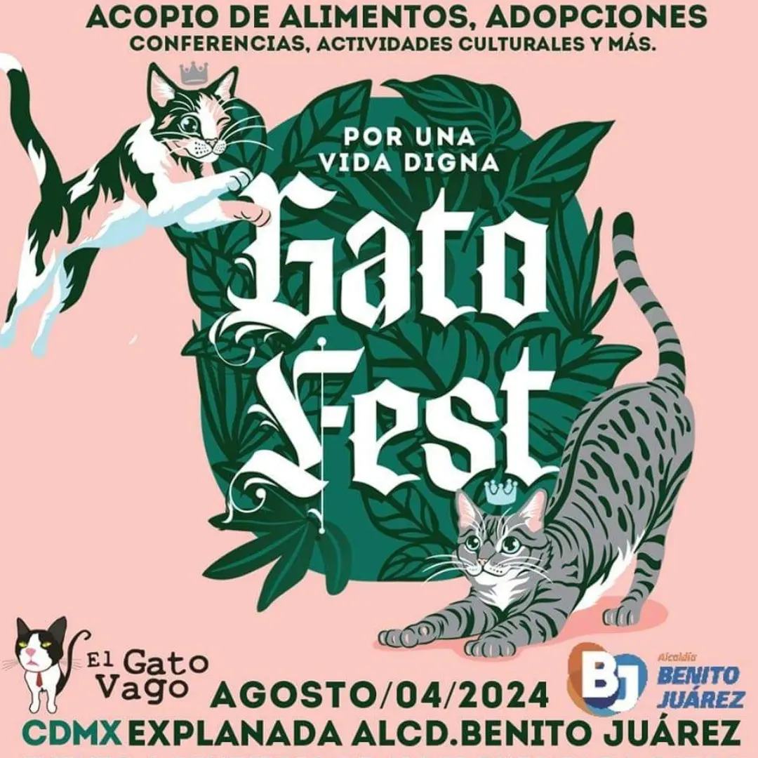 GATO FEST, en su edición número 13, está de vuelta