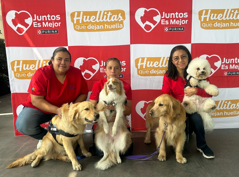 Más de 14,700 terapias asistidas con perros en 2024 con Purina Juntos es Mejor y CENATAC