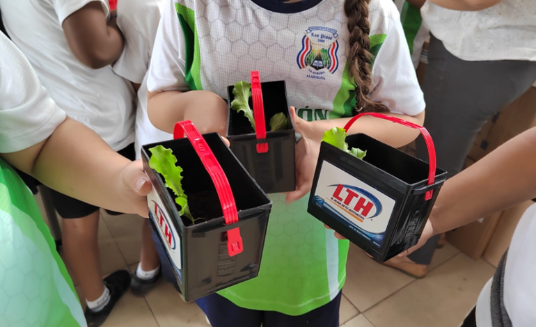 Educación ambiental desde la infancia: la semilla que puede salvar al planeta
