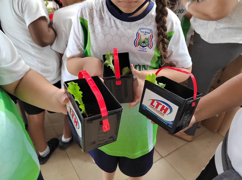 Educación ambiental desde la infancia: la semilla que puede salvar al planeta