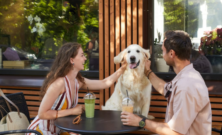 Celebran el Día del Perro con los mejores restaurantes pet-friendly en México, según OpenTable