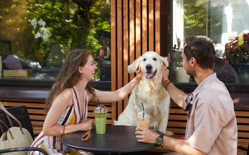 Celebran el Día del Perro con los mejores restaurantes pet-friendly en México, según OpenTable