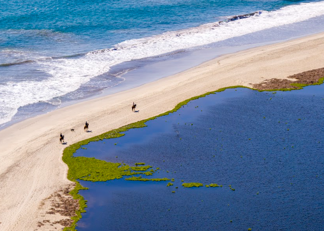 Los Cabos se conecta con Latinoamérica: nueva ruta directa desde Panamá iniciará en diciembre