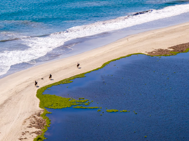 Los Cabos se conecta con Latinoamérica: nueva ruta directa desde Panamá iniciará en diciembre