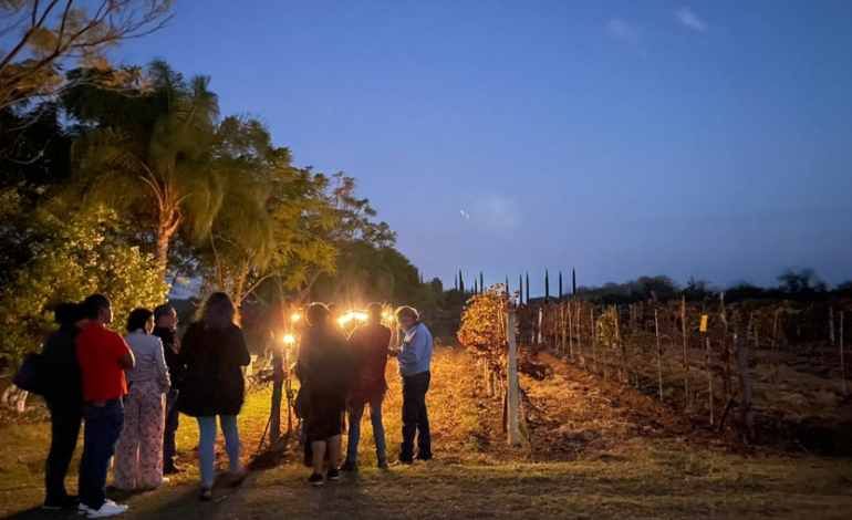 San Luis Potosí da el banderazo a su Ruta de Vendimias 2025 desde La Malanca