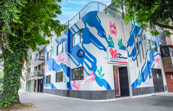 Bye Bye Friend inaugura sede en la Condesa y lanza campaña “Su Huella es Para Siempre”