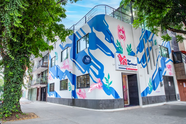Bye Bye Friend inaugura sede en la Condesa y lanza campaña “Su Huella es Para Siempre”