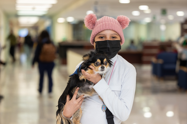 Centro Médico ABC revoluciona atención hospitalaria con terapia asistida por perros