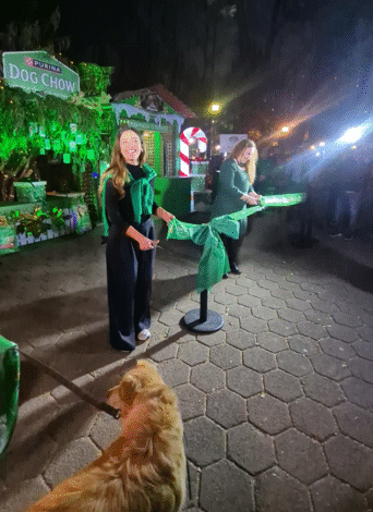 Vive + Momentos con tu perro esta temporada navideña