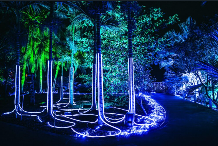 Alicia enciende la fantasía en la Ciudad de México con una experiencia lumínica inmersiva