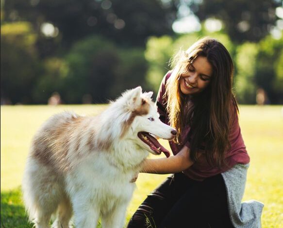 LA NUEVA FORMA DE ALIMENTAR A TU MASCOTA: ENTRE BIENESTAR Y PRACTICIDAD