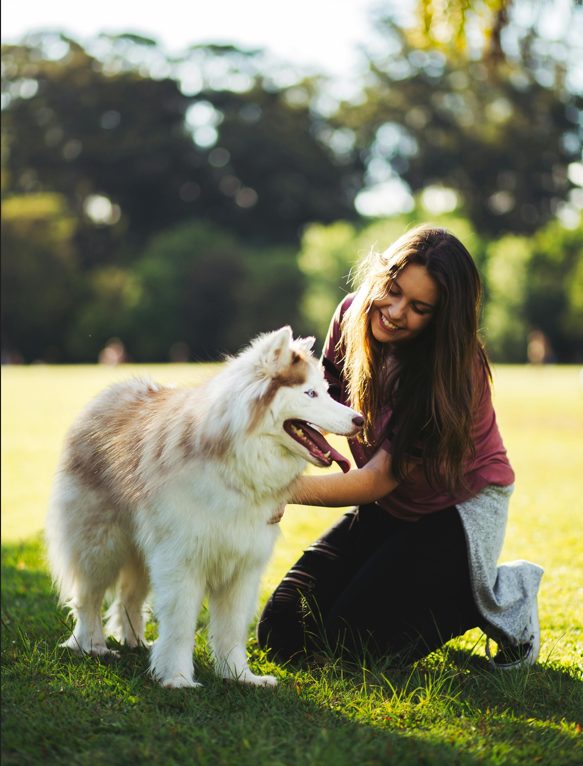 LA NUEVA FORMA DE ALIMENTAR A TU MASCOTA: ENTRE BIENESTAR Y PRACTICIDAD