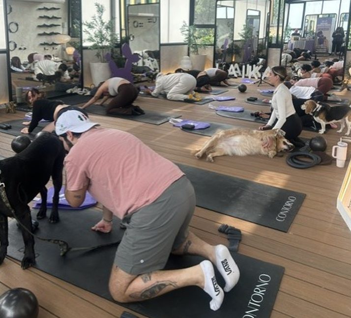 Dog Pilates: la tendencia que fortalece el vínculo entre personas y sus perros
