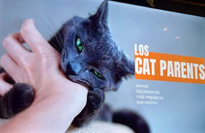 Cada gato necesita su propio menú