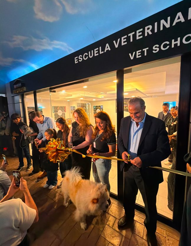 Veterinarios por un día con Purina