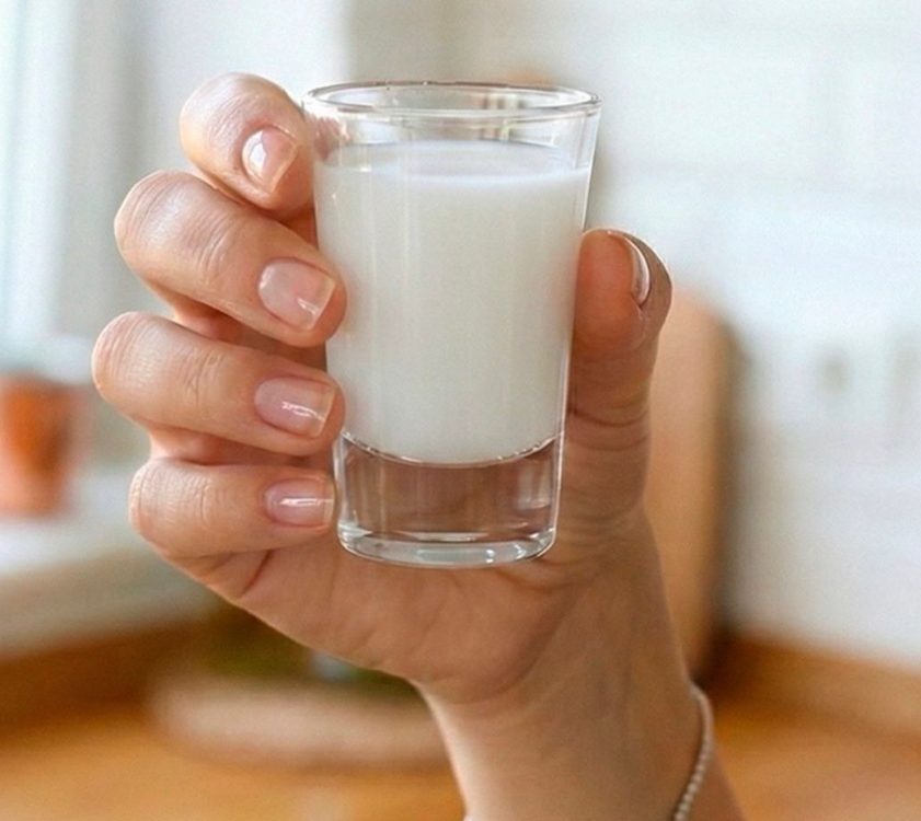 Kéfir y yogur griego: dos aliados para hacer del regreso a clases una rutina más práctica, variada y deliciosa