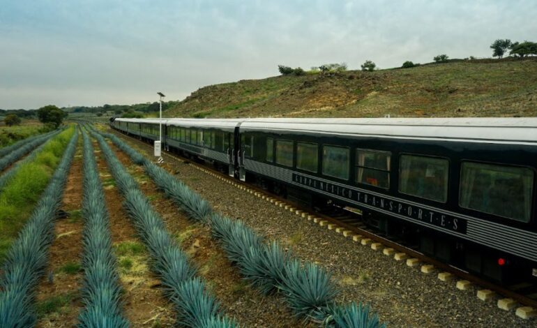 Tequila Express: el viaje donde el paisaje agavero también es protagonista