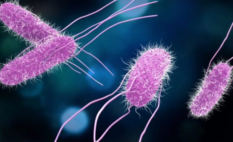 Cuando una infección parece otra: la importancia de detectar a tiempo el origen de una gastroenteritis