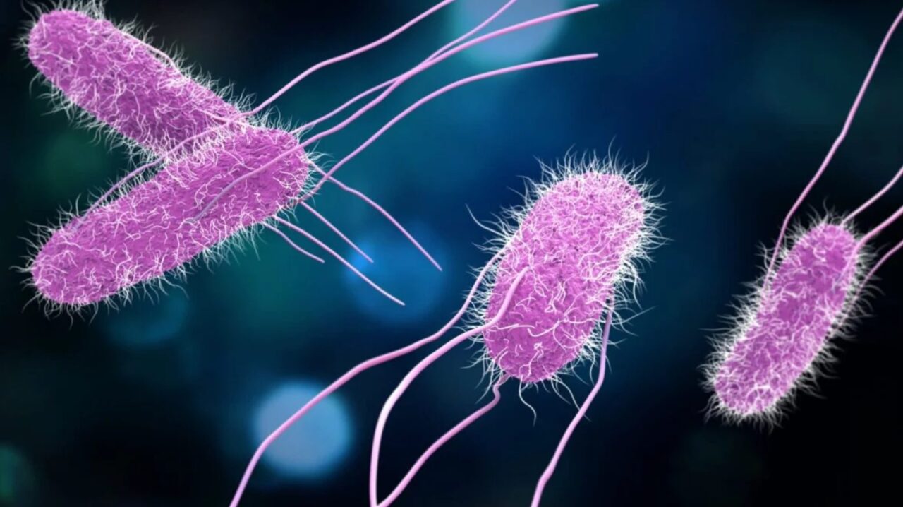Cuando una infección parece otra: la importancia de detectar a tiempo el origen de una gastroenteritis
