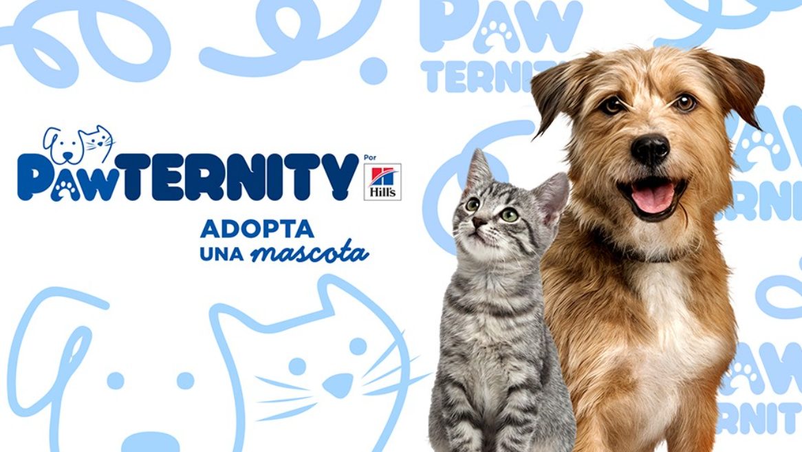 Pawternity: adopciones con amor y responsabilidad