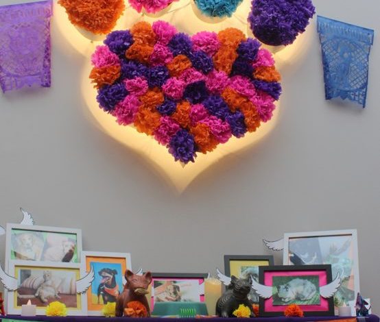 Día de Muertos: cómo recordar a las mascotas que dejaron huella en nuestro corazón