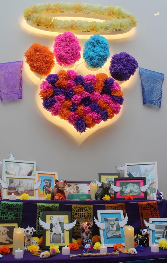 Día de Muertos: cómo recordar a las mascotas que dejaron huella en nuestro corazón